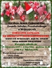 Warsztaty Bożonarodzeniowe 2019 