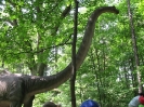 Park Dinozaurow_35