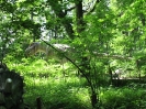 Park Dinozaurow_39