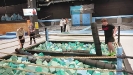 Park Trampolin 2025