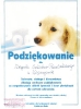 „POMÓŻMY BEZDOMNYM CZWORONOGOM”  2017 
