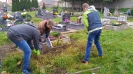Porządkowanie grobów 2017