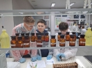 Warsztaty chemiczne dla kl. VII i VII 2024 