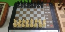 wystawa szachowa