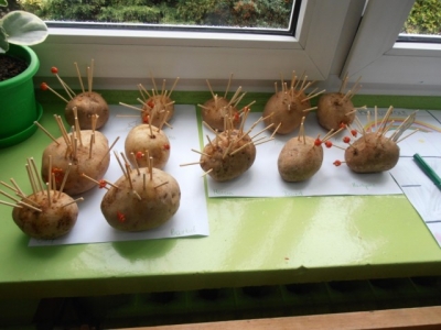 Jesienne prace przedszkolaków