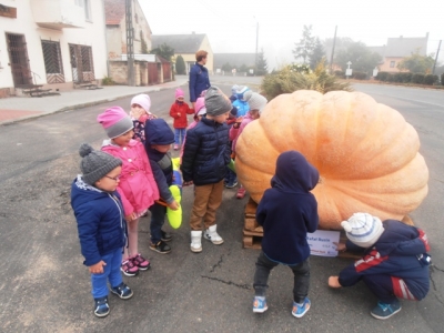 Wyjście przedszkolaków