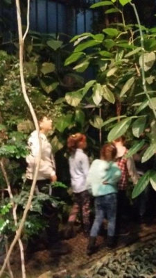 Mikołajkowa niespodzianka.