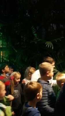 Mikołajkowa niespodzianka.