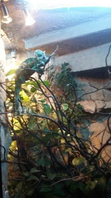 Mikołajkowa niespodzianka.