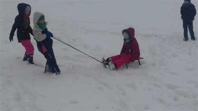 MY SIĘ ZIMY NIE BOIMY