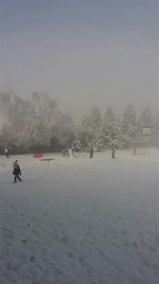 MY SIĘ ZIMY NIE BOIMY