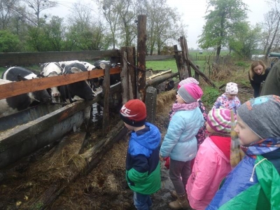 Wycieczka do gospodarstwa rolnego