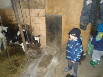 Wycieczka do gospodarstwa rolnego