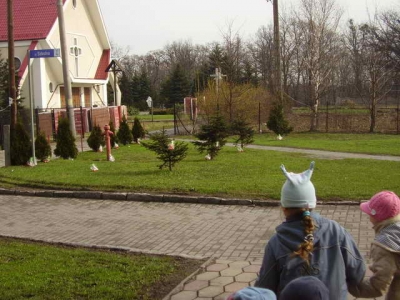 Szukamy Zajaczka  Przedszkolaki_6