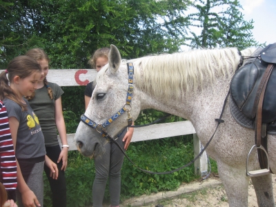 zielona szkola w srebrnej gorze_9