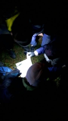 podchody czytelnicze_44