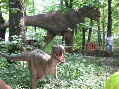 Park Dinozaurow_7