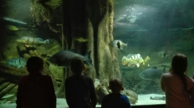 Wizyta u sw Mikolaja_25