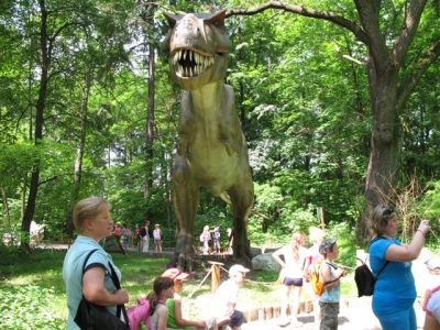 Park Dinozaurow_54
