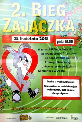 bieg zajączka