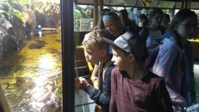 zielona szkola 2018_23