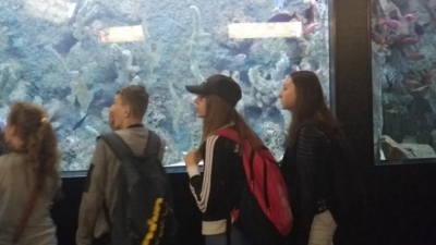 zielona szkola 2018_25