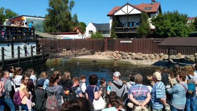 zielona szkola 2018_32