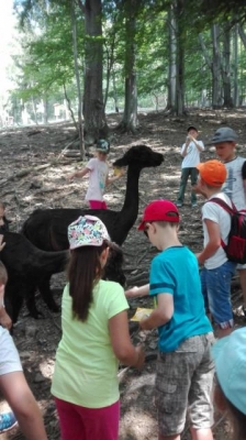 Wisla Ustron 2018_32