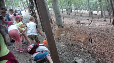 Wisla Ustron 2018_36