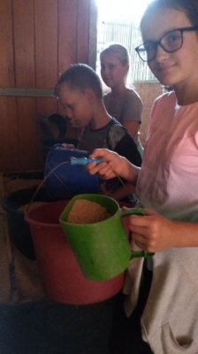 lekcja w stadninie 2018_6