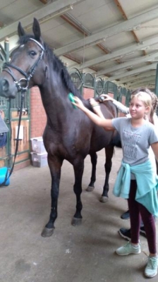 lekcja w stadninie 2018_12