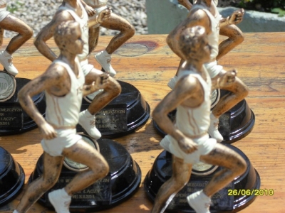 Bieg Partnerski 2010_11