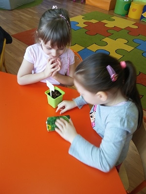 Porządki w ogrodzie