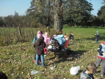 Pieczony Ziemniak 2010_25