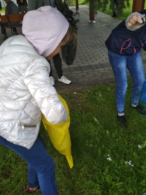 Sprzatanie Świata 2019