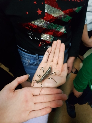 Lekcja przyrody na żywo