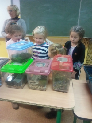 Lekcja przyrody na żywo