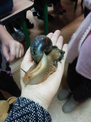 Lekcja przyrody na żywo