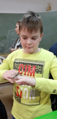 Lekcja przyrody na żywo