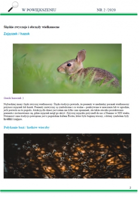 Gazetka szkolna nr 2/2020