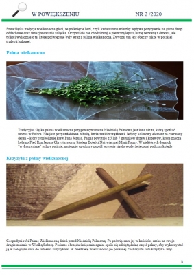 Gazetka szkolna nr 2/2020