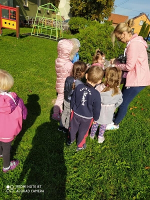 Sprzątanie świata 2020