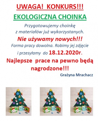 ekologiczna choinka 2020