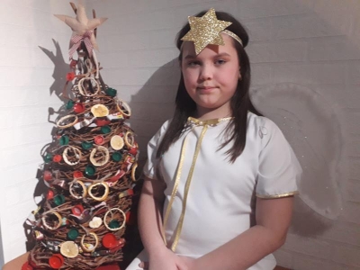 ekologiczna choinka 2020