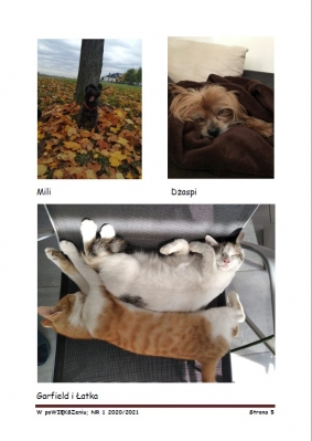 gazetka szkolna nr 1 2021