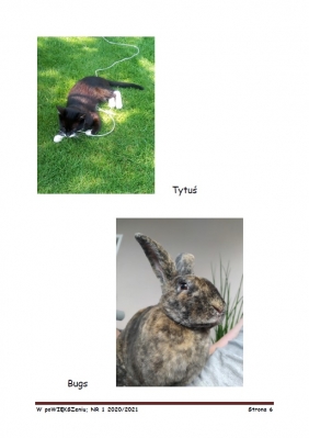 gazetka szkolna nr 1 2021