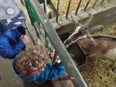 wycieczka do Konig Western Ranch