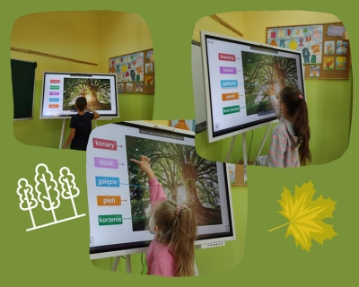 ŚWIATOWY DZIEŃ DRZEWA