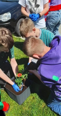 Kwiaty zamiast śmieci