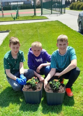 Kwiaty zamiast śmieci